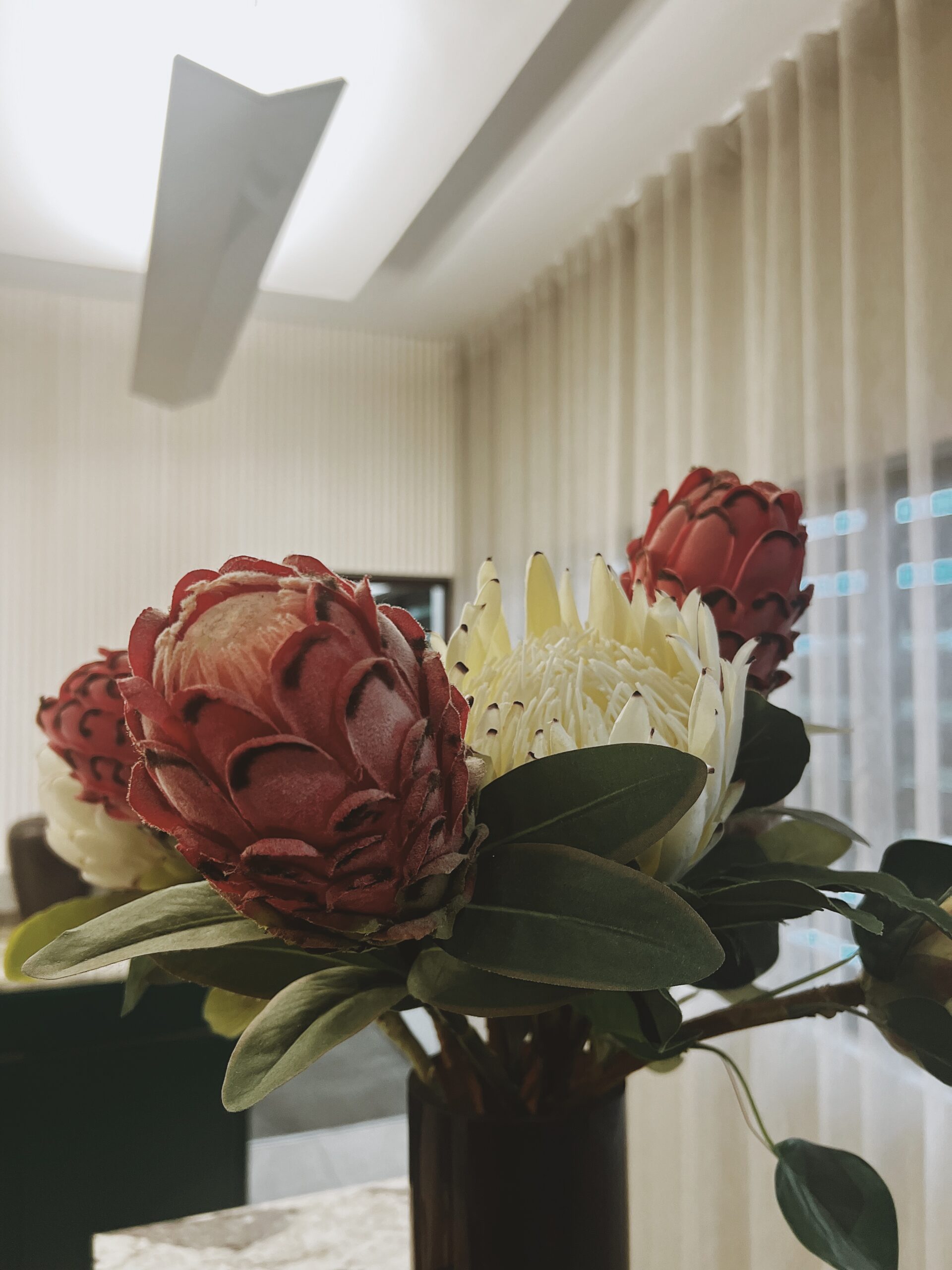 Protea flower at the front desk in Angel's View Hotel, Mpumalanga, South Africa.